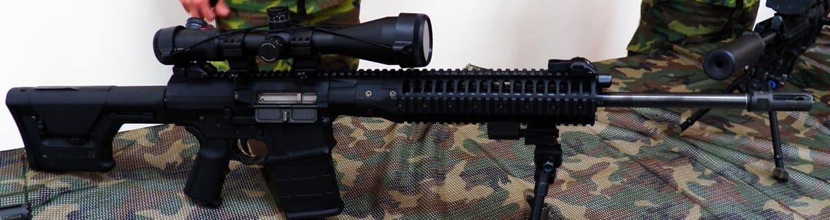 LWRC International REPR (model photo)