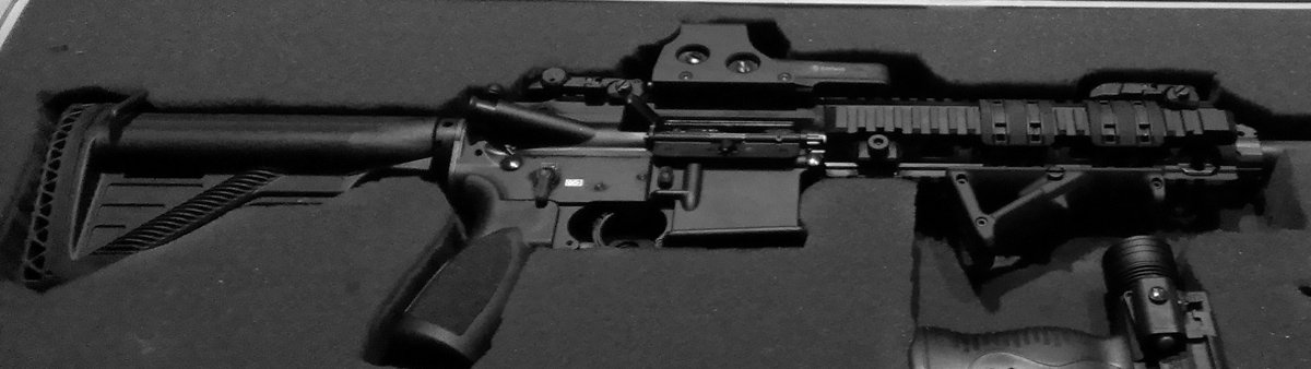 Heckler & Koch MR556A1 (model photo)