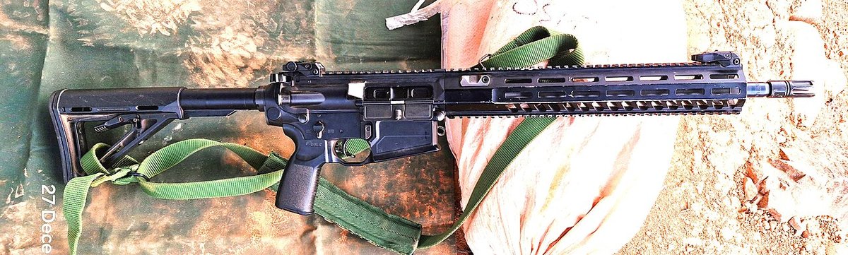 SIG SAUER SIG716 (model photo)